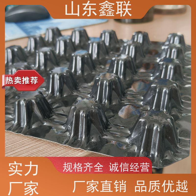 鑫联 黑色国标料 塑料凸片排水层 10年大厂品牌 聚乙 烯滤水板