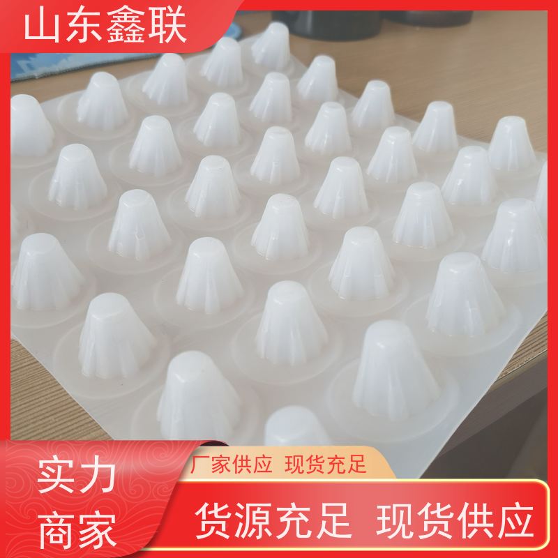鑫联 白色全新料 塑料凸片排水层 大厂实力批发 PE疏水板
