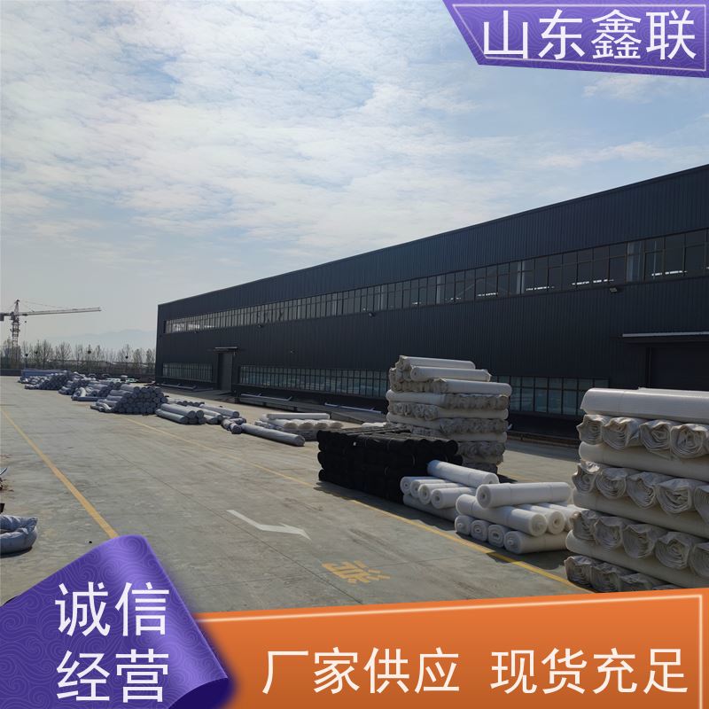 鑫联 14高复合一体 塑料凸片排水层 国检认证品质 厚滤水板