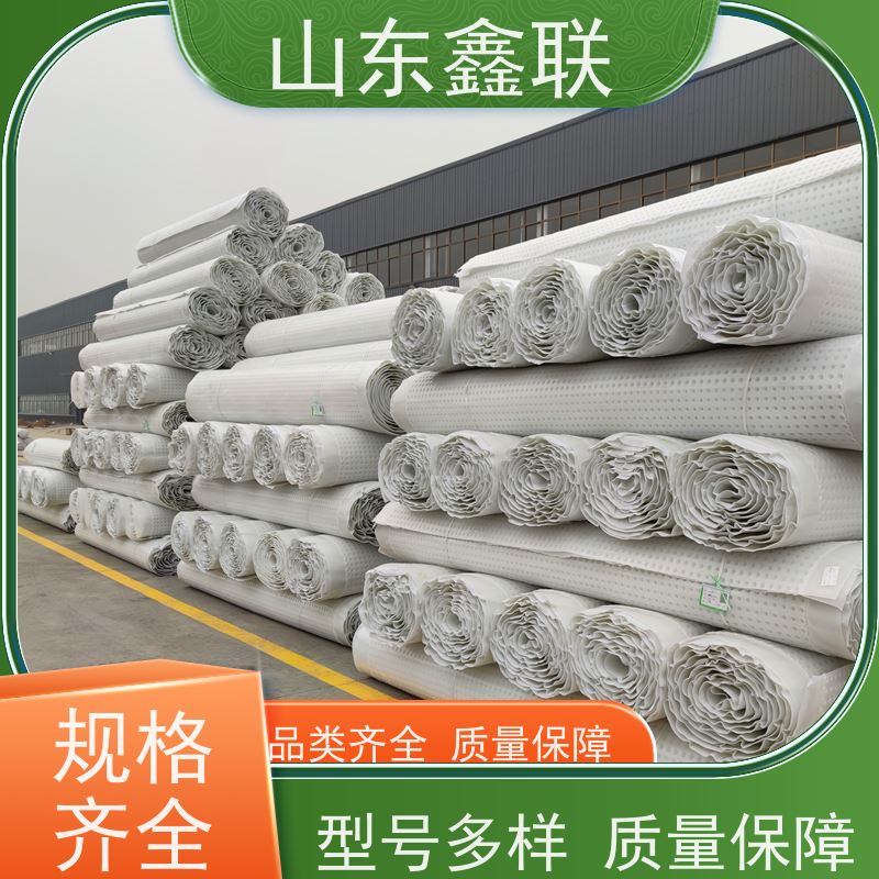 鑫联 40高3*10 塑料凸片排水层 严选自营 成品疏水板