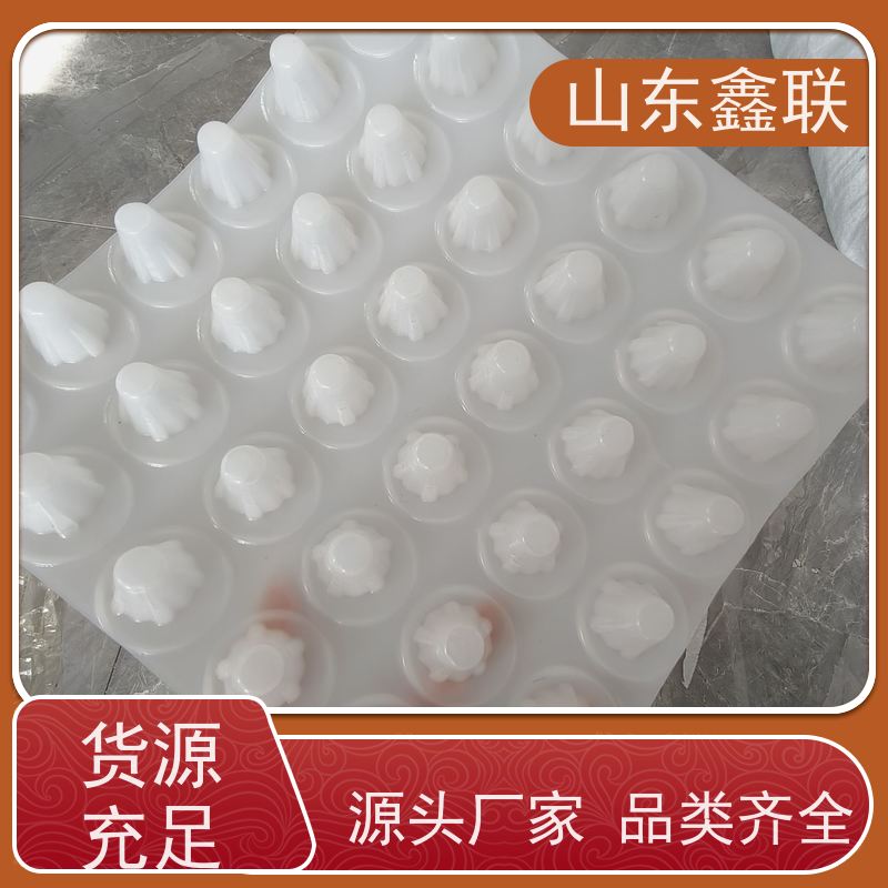 鑫联 40高3*10 塑料凸片排水层 国检认证品质 成品疏水板