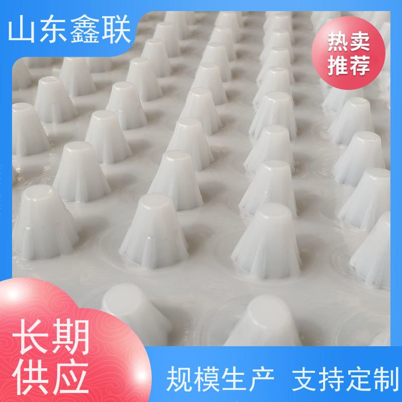 鑫联 25高卷材 塑料凸片排水层 严选自营 PE疏水板