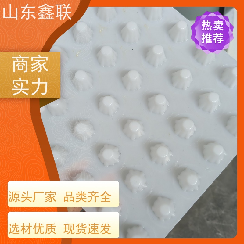 鑫联 爆卖百万平方 塑料凸片排水层 专注生产供应 厚滤水板