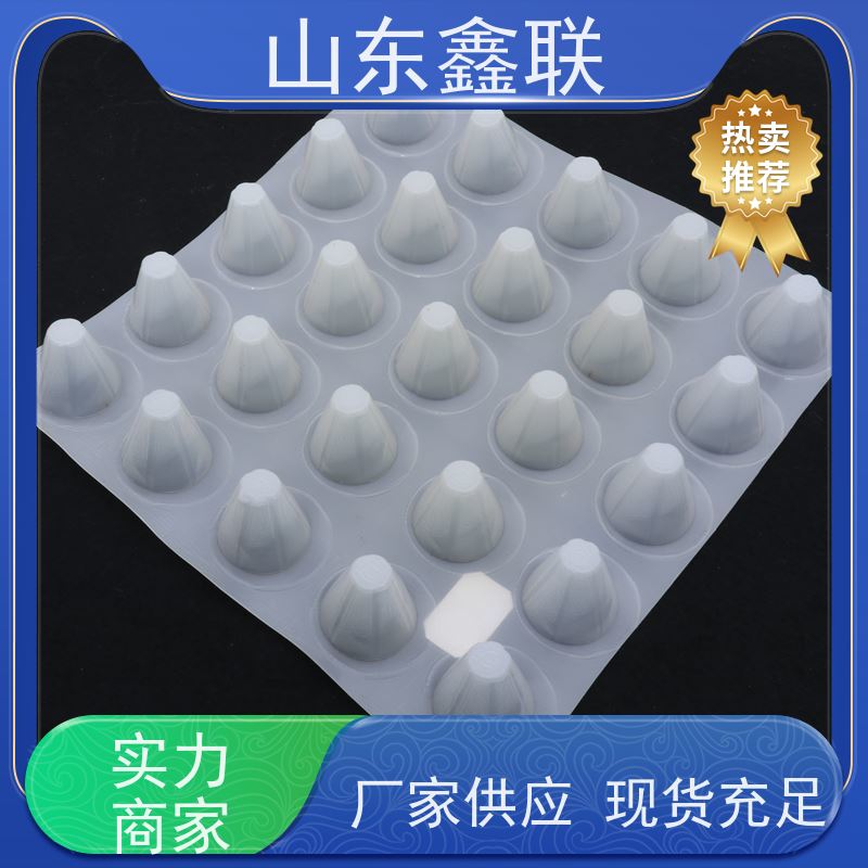 鑫联 黑色国标料 塑料凸片排水层 10年大厂品牌 PE疏水板