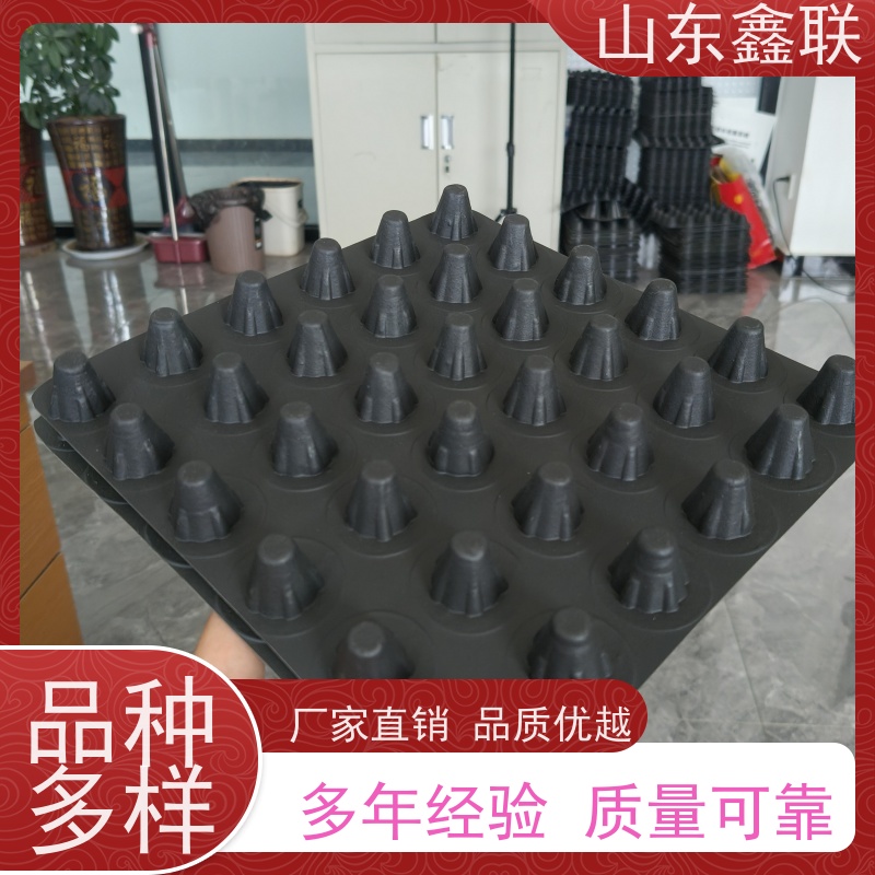 鑫联 50高黑色 塑料凸片排水层 专注生产供应 PE疏水板