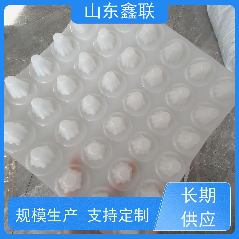 鑫联 2公分厚 塑料凸片排水层 屋顶花园绿化 PE疏水板