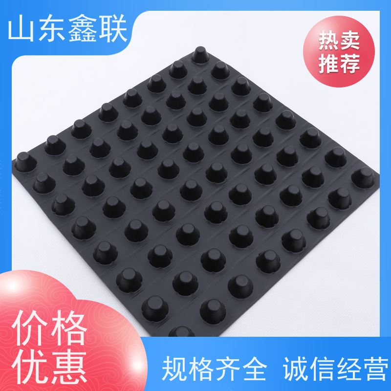 鑫联 白色全新料 塑料凸片排水层 科研创新 PE排蓄水板