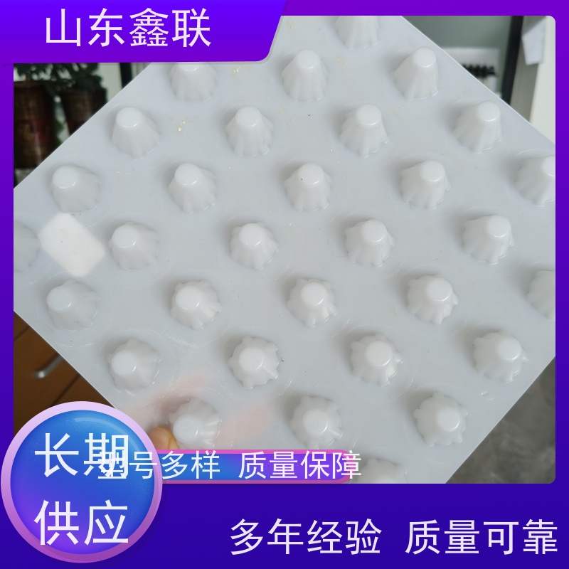 鑫联 黑色国标料 塑料凸片排水层 专注生产供应 PE疏水板