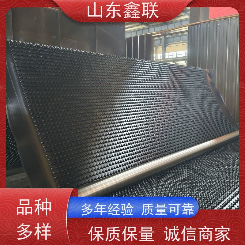 鑫联 14高复合一体 塑料凸片排水层 国检认证品质 成品疏水板