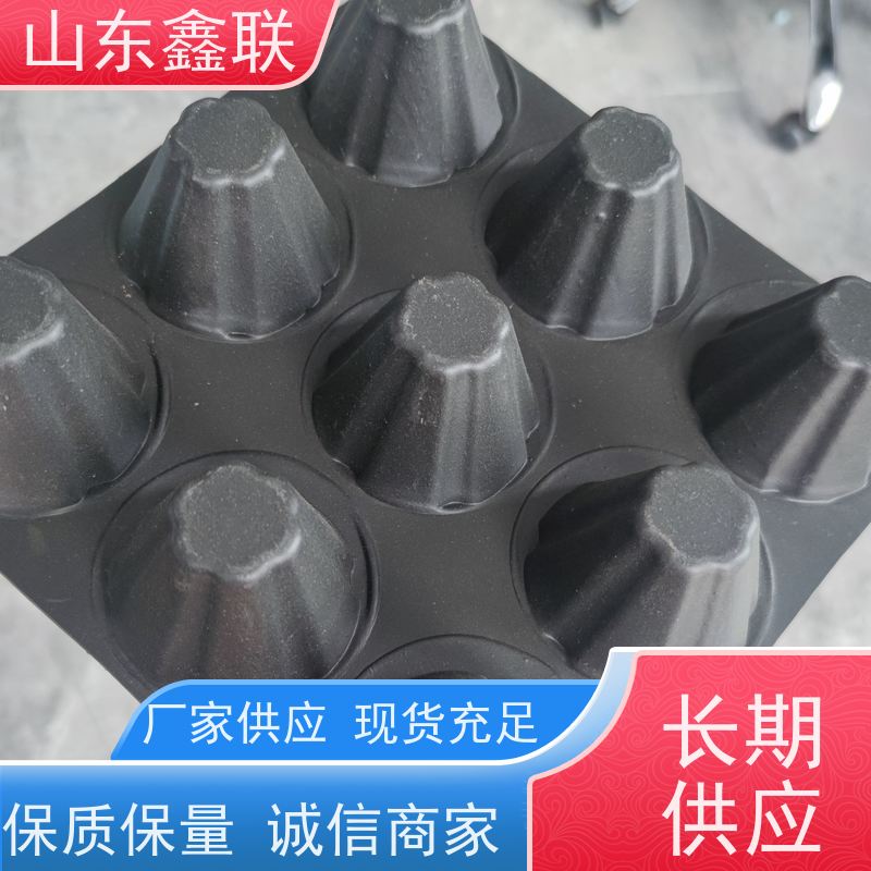 鑫联 白色全新料 塑料凸片排水层 10年大厂品牌 聚乙 烯滤水板