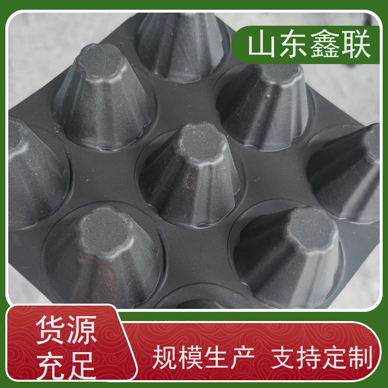 鑫联 40高3*10 塑料凸片排水层 严选自营 厚滤水板