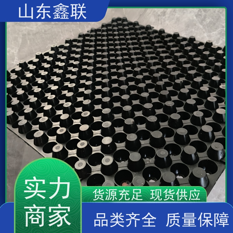 鑫联 爆卖百万平方 塑料凸片排水层 百亩面积厂商 PE排蓄水板