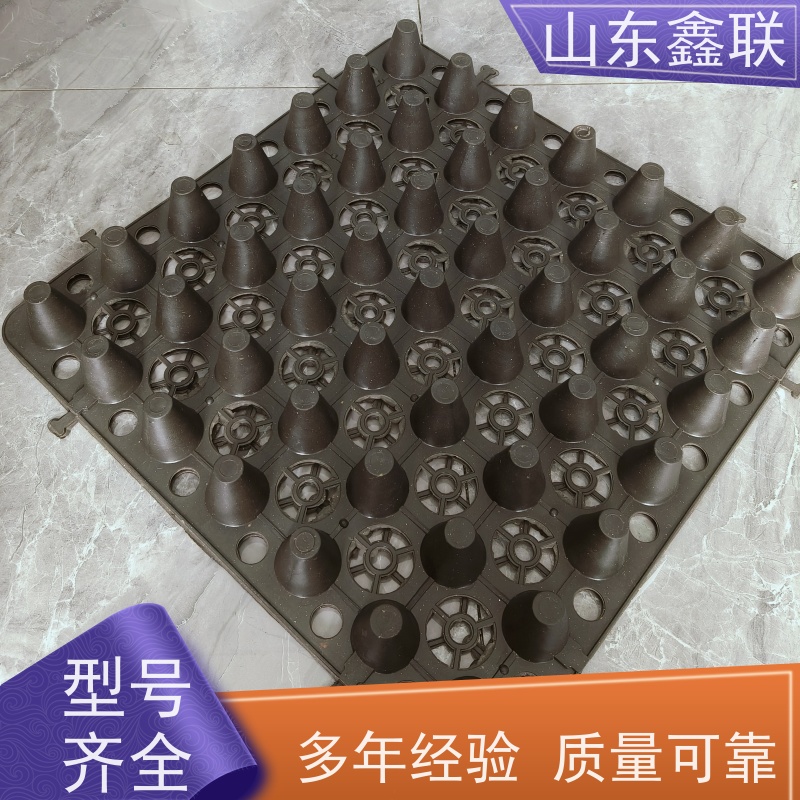 鑫联 40高3*10 塑料凸片排水层 百亩面积厂商 PE排蓄水板