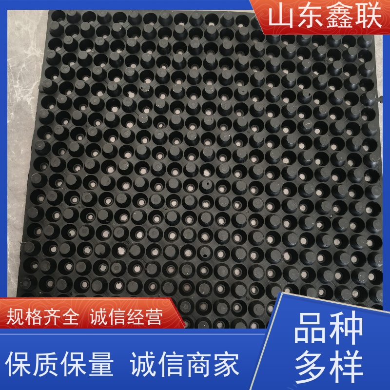 鑫联 爆卖百万平方 塑料凸片排水层 屋顶花园绿化 成品疏水板