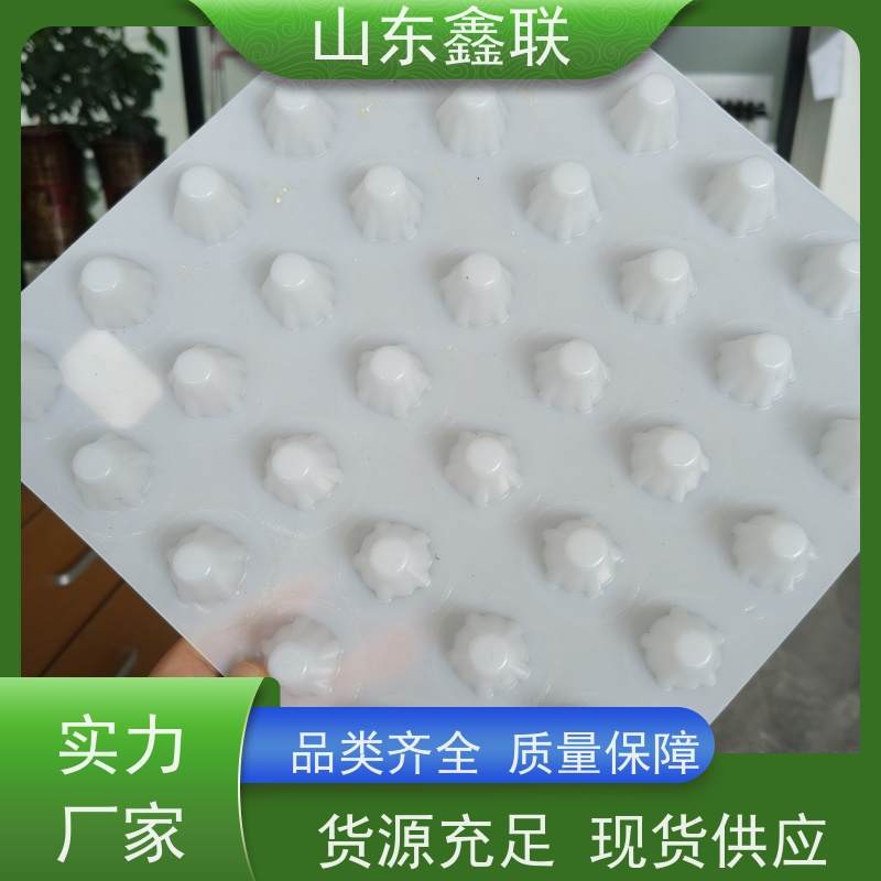 鑫联 爆卖百万平方 塑料凸片排水层 严选自营 厚滤水板