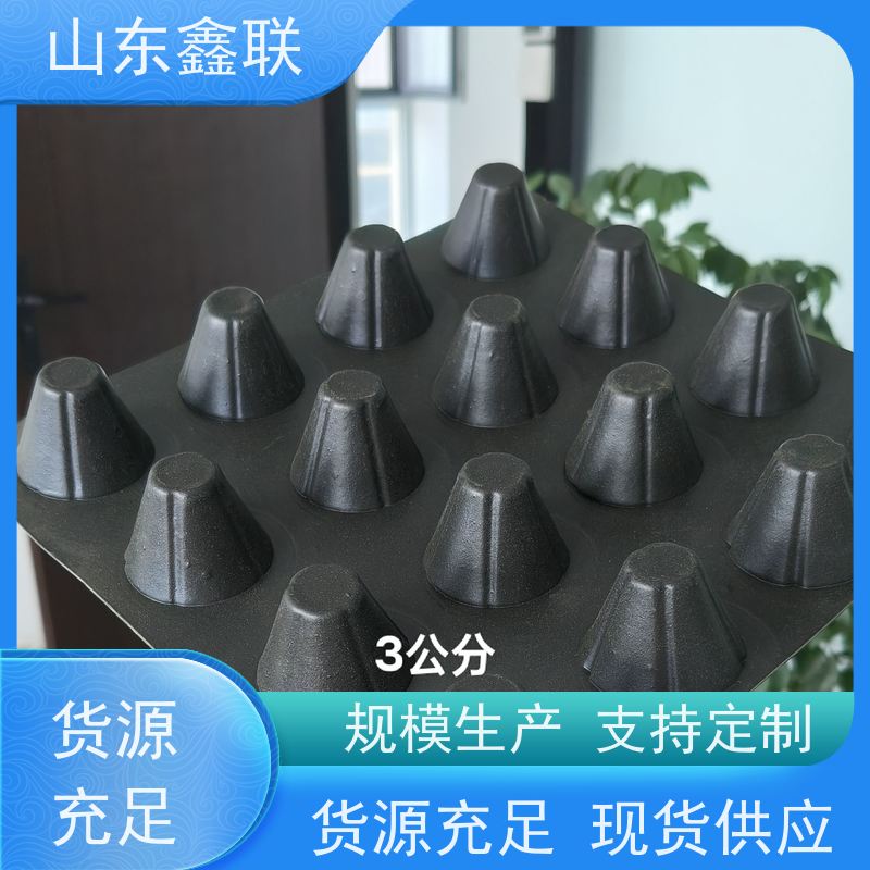 鑫联 40高3*10 塑料凸片排水层 百亩面积厂商 聚乙 烯滤水板
