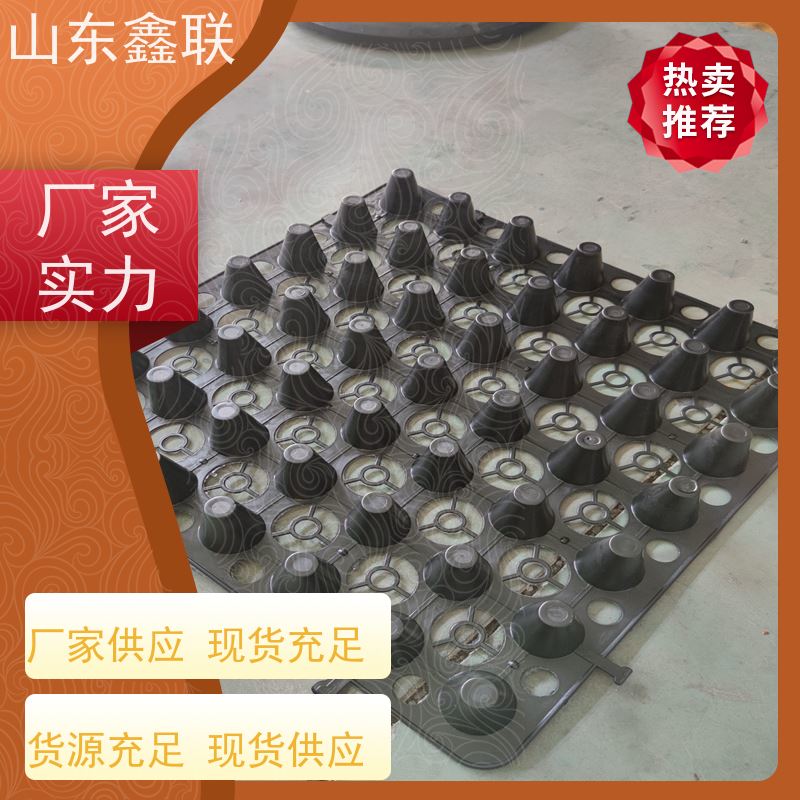 鑫联 1公分高 塑料凸片排水层 10年大厂品牌 PE疏水板