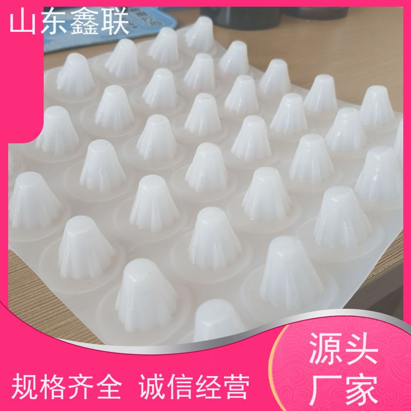 鑫联 3公分高 塑料凸片排水层 车库顶板专用 PE疏水板