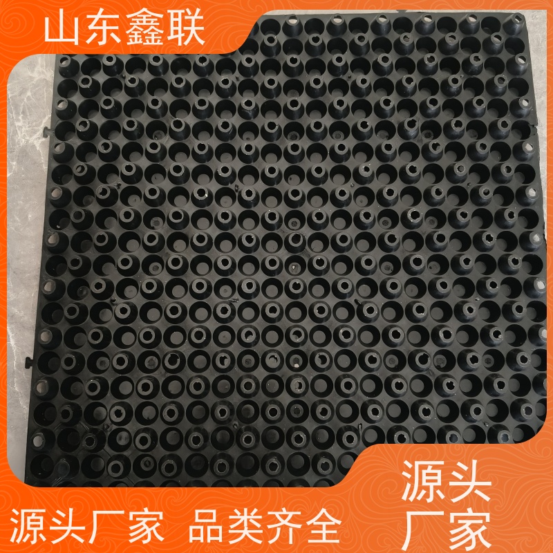 鑫联 6公分黑色 塑料凸片排水层 科研创新 PE疏水板