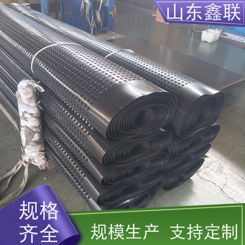 鑫联 白色全新料 塑料凸片排水层 大厂实力批发 聚乙 烯滤水板