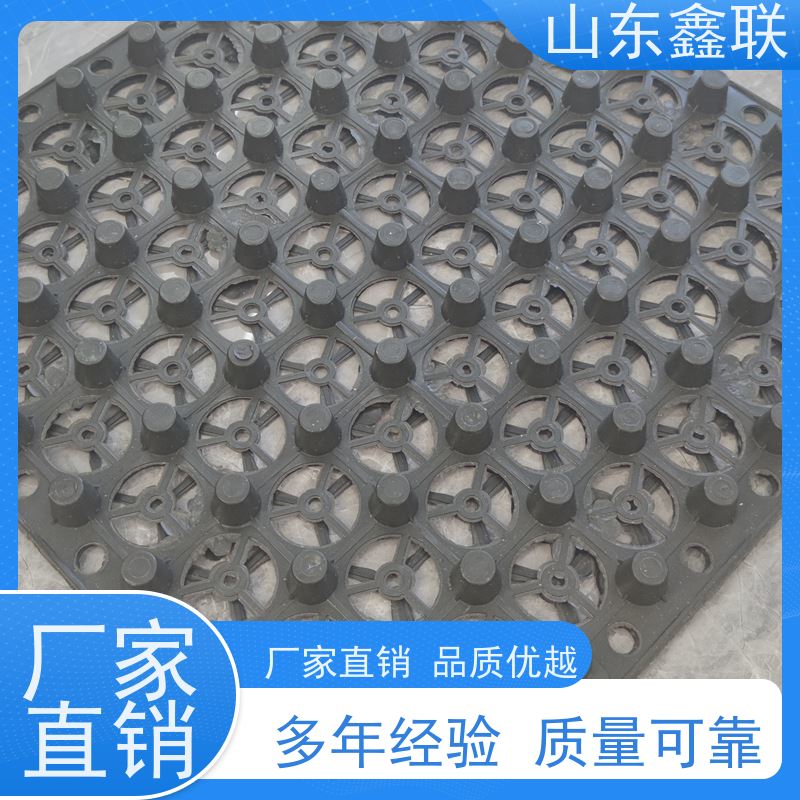 鑫联 2公分厚 塑料凸片排水层 10年大厂品牌 聚乙 烯滤水板
