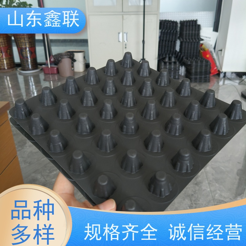 鑫联 1公分高 塑料凸片排水层 百亩面积厂商 PE疏水板