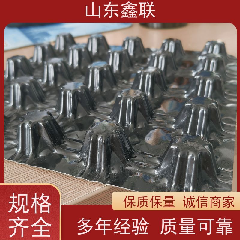 鑫联 14高复合一体 塑料凸片排水层 专注生产供应 PE排蓄水板