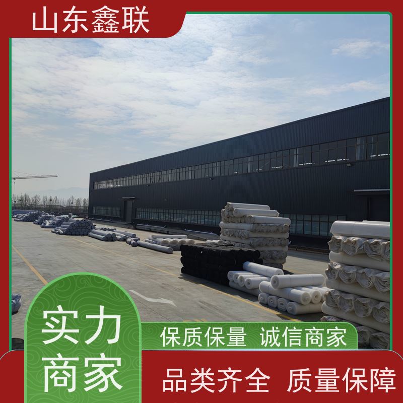 鑫联 50高黑色 塑料凸片排水层 百亩面积厂商 成品疏水板