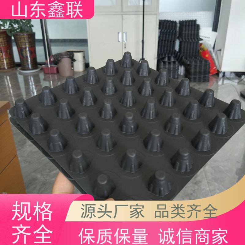鑫联 6公分黑色 塑料凸片排水层 专注生产供应 聚乙 烯滤水板