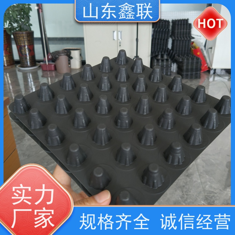 鑫联 50高黑色 塑料凸片排水层 屋顶花园绿化 PE疏水板