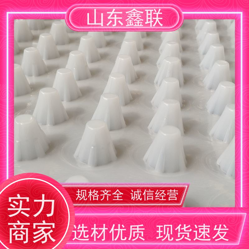 鑫联 1公分高 塑料凸片排水层 车库顶板专用 PE排蓄水板