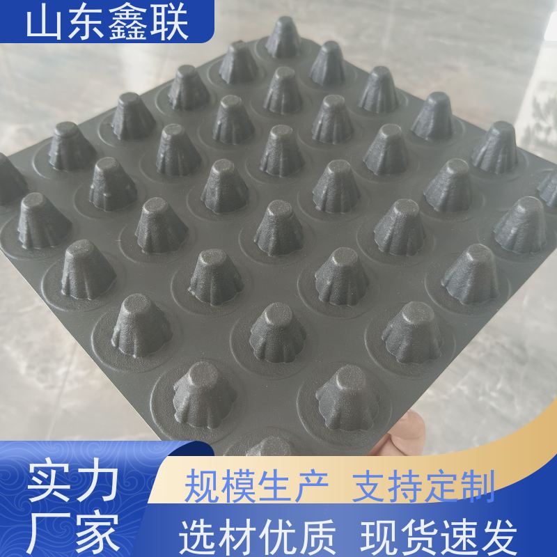 鑫联 40高3*10 塑料凸片排水层 国检认证品质 PE疏水板