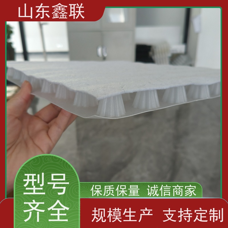鑫联 40高3*10 塑料凸片排水层 厂家施工指导 聚乙 烯滤水板