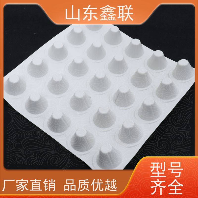 鑫联 2公分厚 塑料凸片排水层 车库顶板专用 成品疏水板