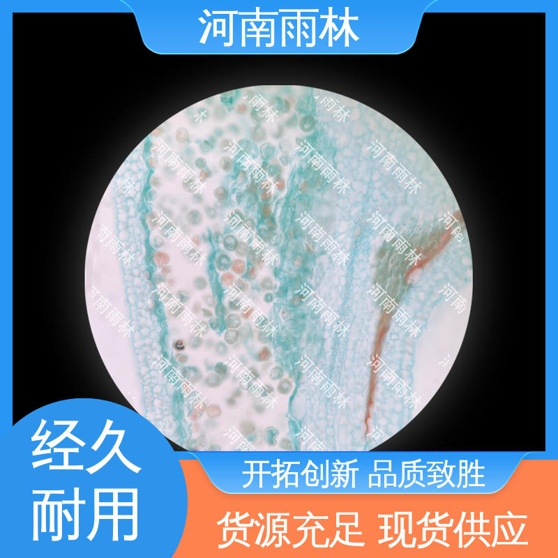 一对一质检 可提供材料 支持定制 各类标本 雨林教育