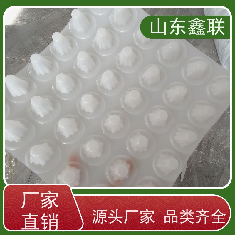 鑫联 3公分高 塑料凸片排水层 厂家施工指导 厚滤水板