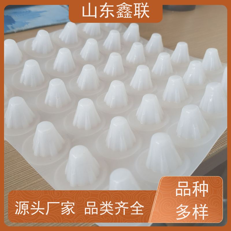 鑫联 黑色国标料 塑料凸片排水层 严选自营 成品疏水板