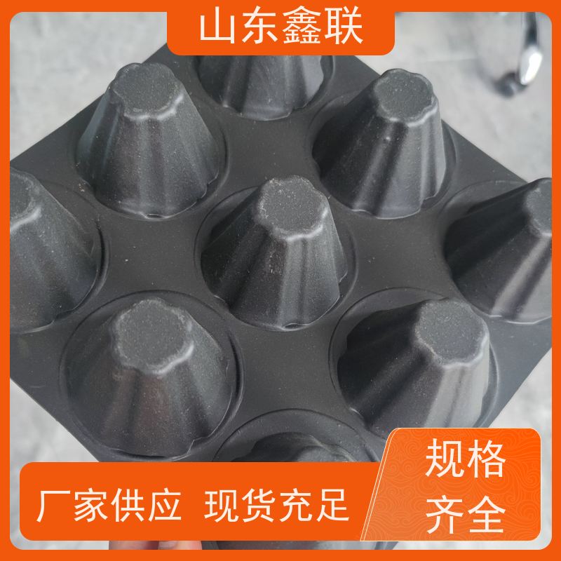 鑫联 黑色国标料 塑料凸片排水层 厂家施工指导 成品疏水板