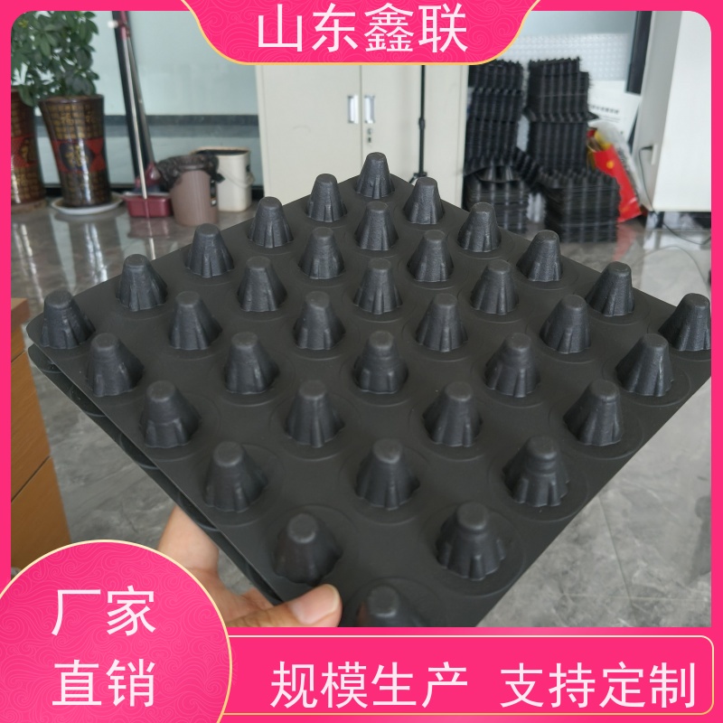 鑫联 6公分黑色 塑料凸片排水层 百亩面积厂商 厚滤水板