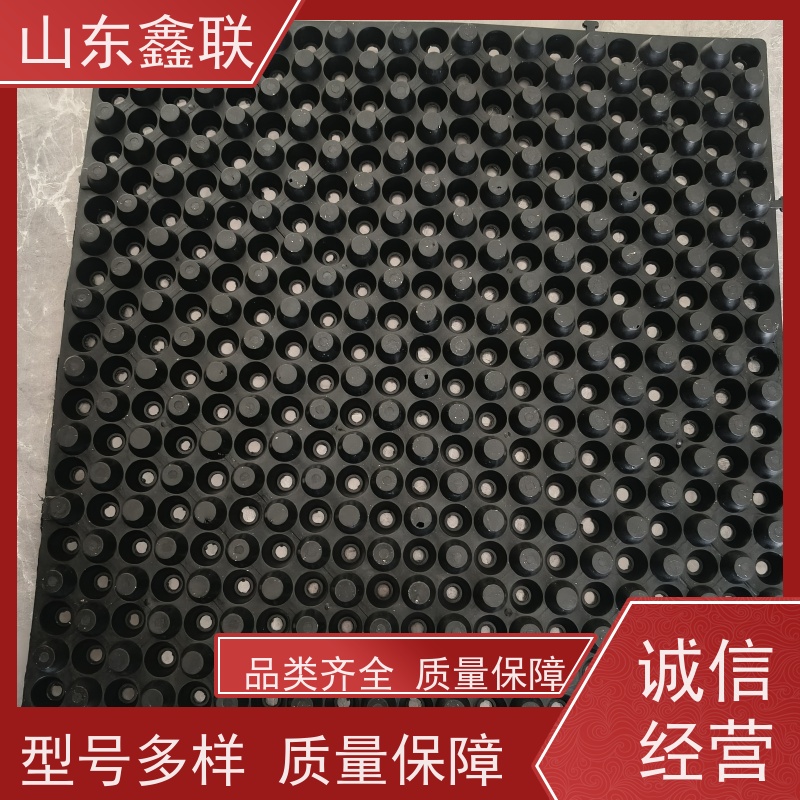 鑫联 14高复合一体 塑料凸片排水层 大厂实力批发 厚滤水板