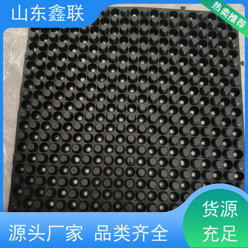 鑫联 白色全新料 塑料凸片排水层 专注生产供应 厚滤水板