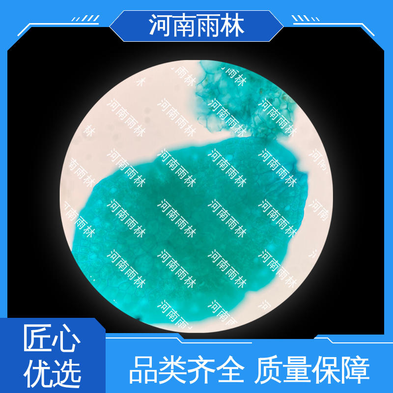 雨林教育工程 颜色鲜亮 售后无忧 厂家销售 实验切片