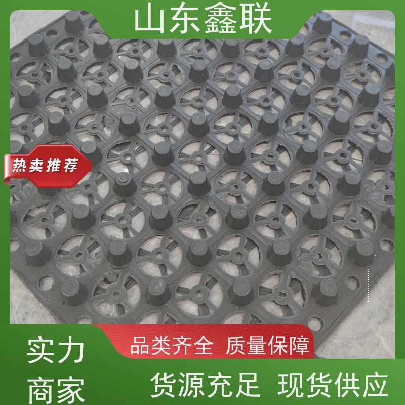 鑫联 爆卖百万平方 塑料凸片排水层 车库顶板专用 聚乙 烯滤水板