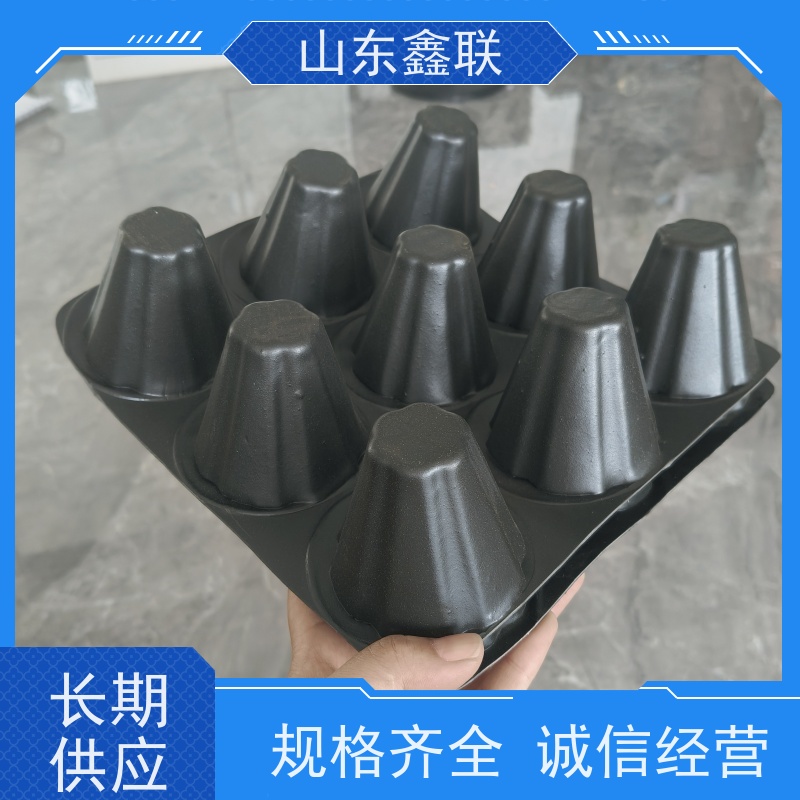 鑫联 2公分厚 塑料凸片排水层 百亩面积厂商 聚乙 烯滤水板