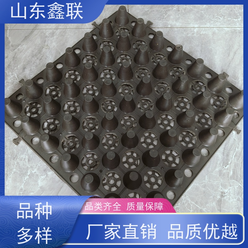 鑫联 3公分高 塑料凸片排水层 百亩面积厂商 聚乙 烯滤水板