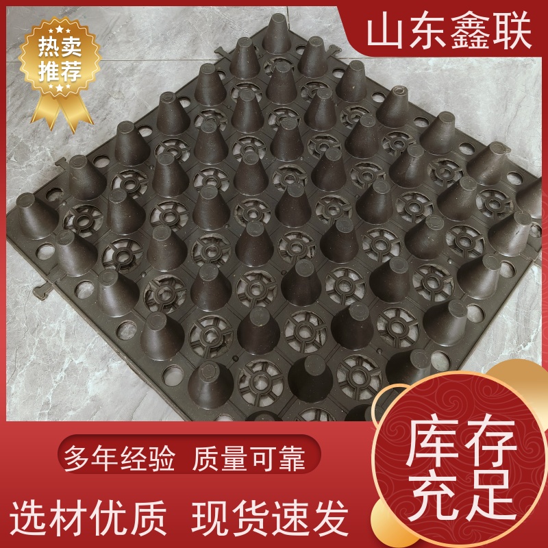 鑫联 20大杯口蓝色底板专用 塑料凸片排水层 专注生产供应 PE排蓄水板