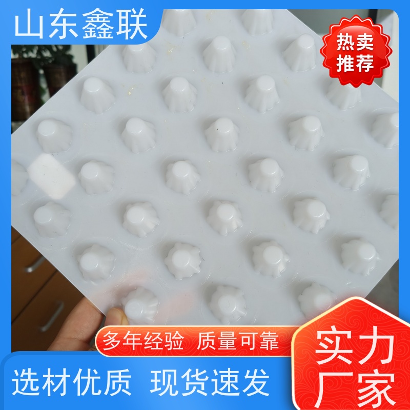 鑫联 2公分厚 塑料凸片排水层 严选自营 成品疏水板