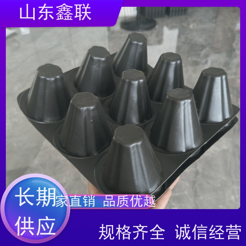 鑫联 25高卷材 塑料凸片排水层 屋顶花园绿化 PE排蓄水板