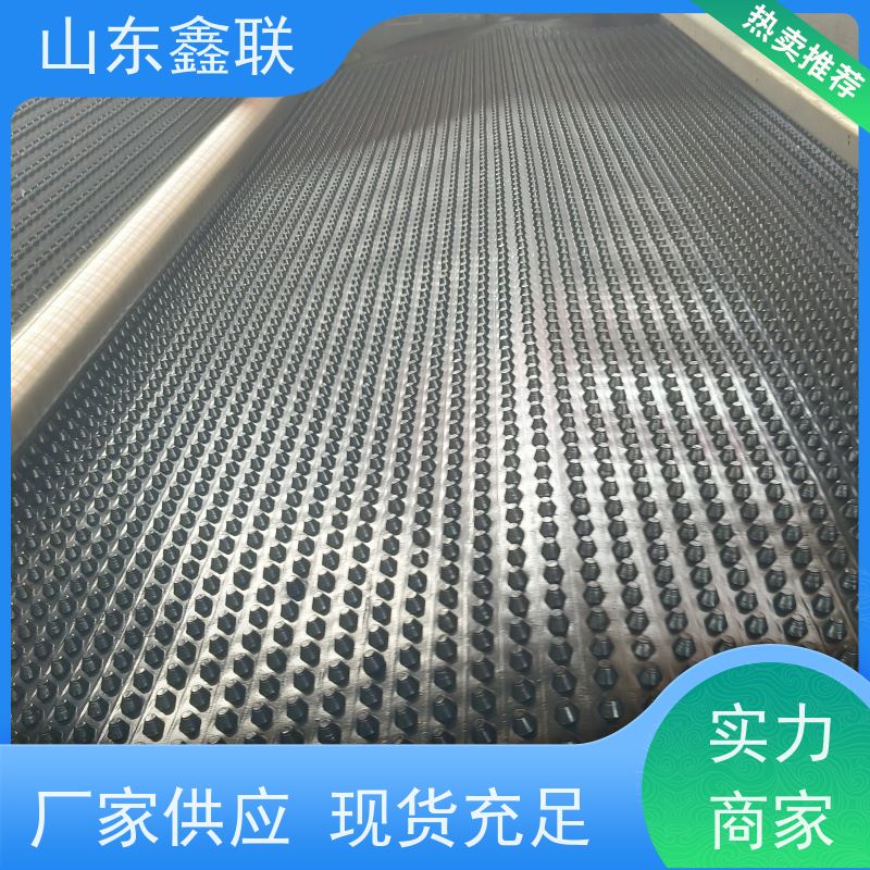 鑫联 白色全新料 塑料凸片排水层 国检认证品质 PE排蓄水板