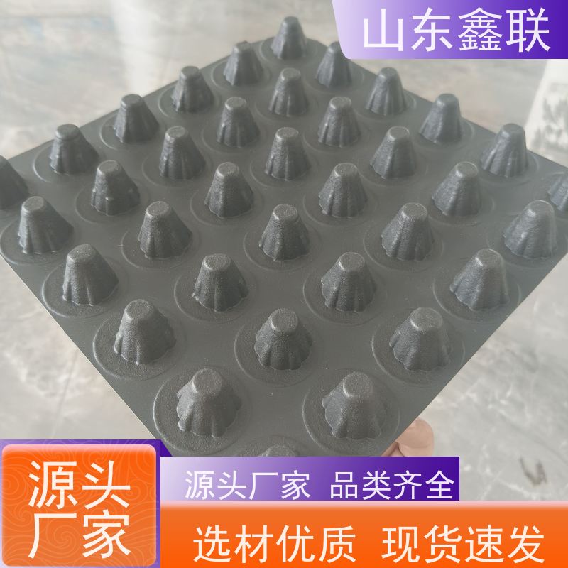 鑫联 爆卖百万平方 塑料凸片排水层 严选自营 成品疏水板